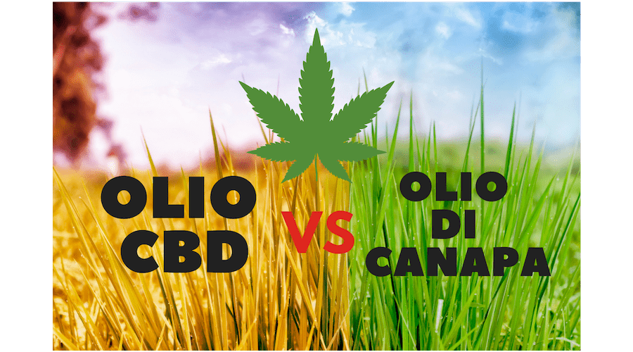 Differenza tra Olio CBD e olio di Canapa
